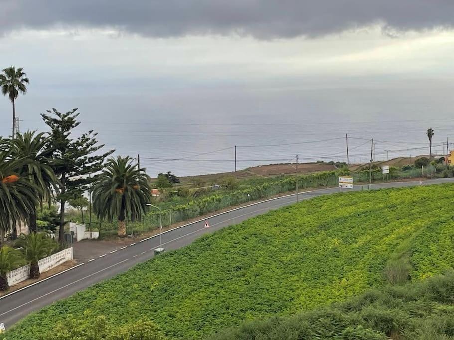 La Casita De La Pared Lejlighed Santa Cruz de Tenerife Eksteriør billede